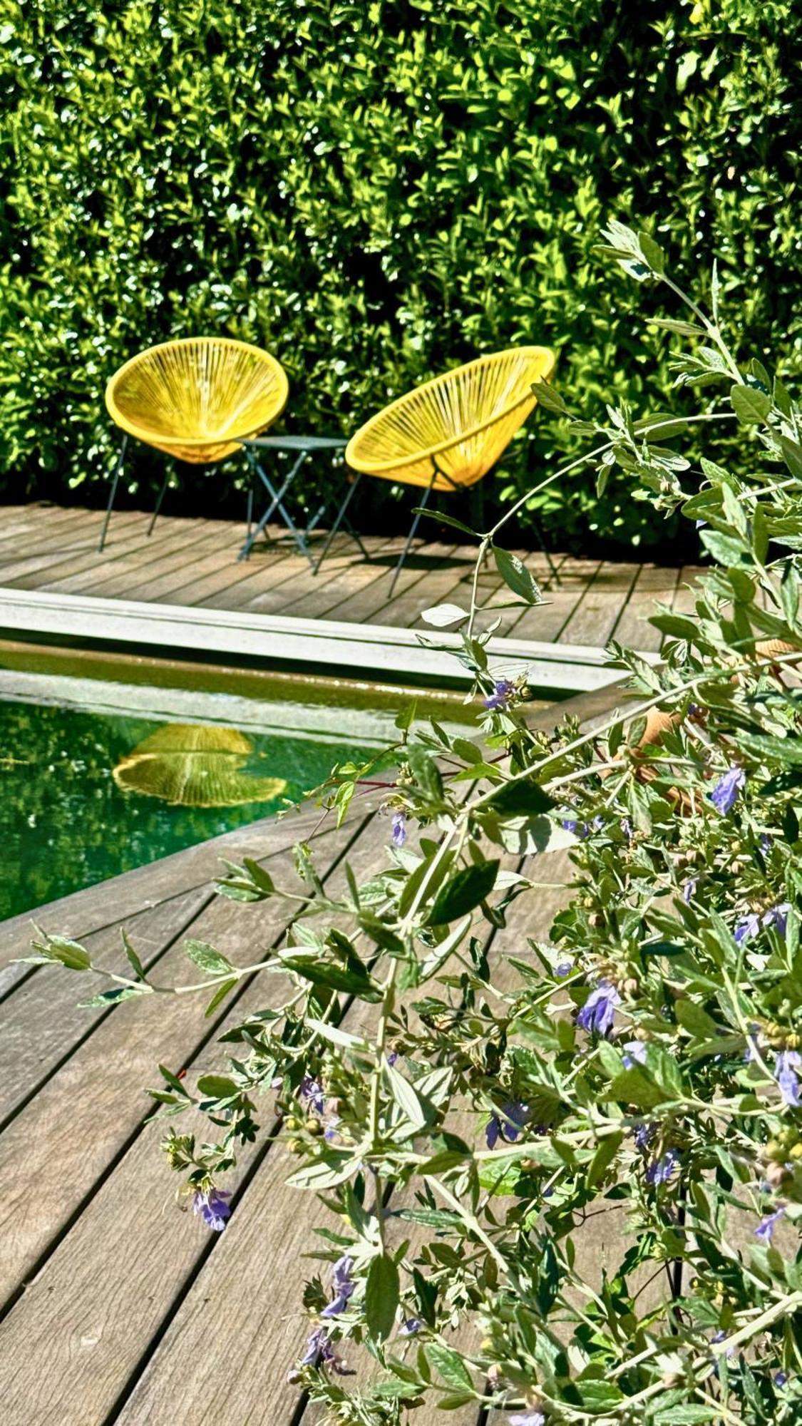 Boutique Hotel Artemisia Bastelica Exterior photo